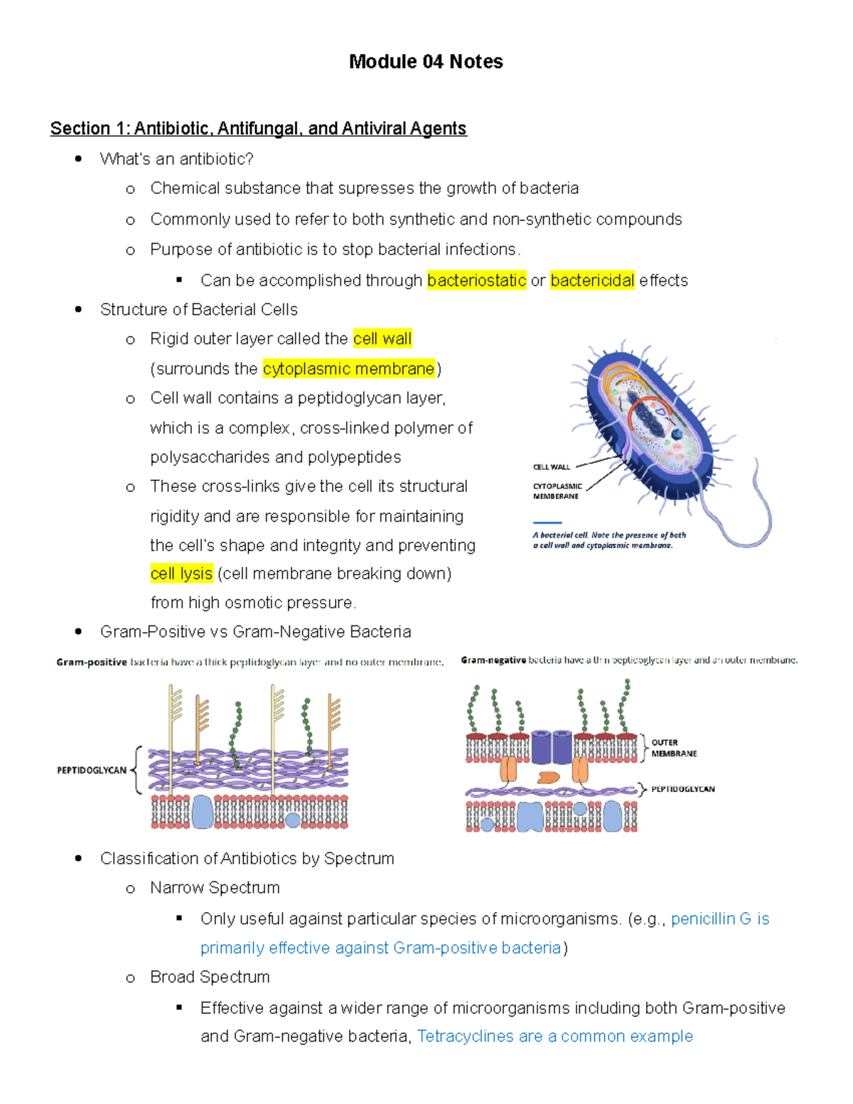 Module 4 (Antibiotic, Antifungal, and Antiviral Agents) notes Module