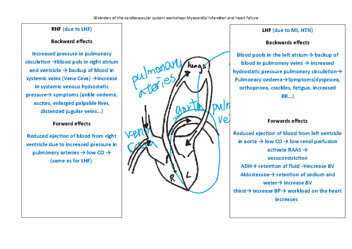 Heart failure diagram - Disorders of the cardiovascular system workshop ...