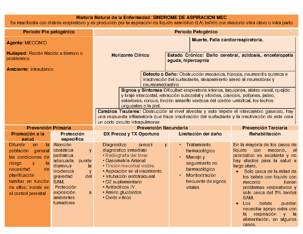 Historia Natural De La Enfermedad Sindrome De Dificultad Respiratoria