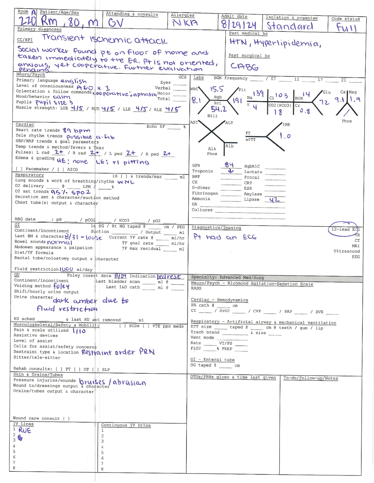 N211L NPW Example - Room A Attending consults Allergies Admit date 220 ...
