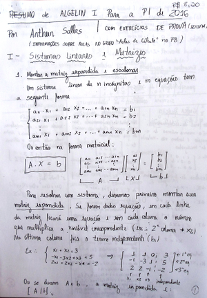 Relatório Grupo I - Prática I: Identificação dos íons Na+, K+e NH 4 ...