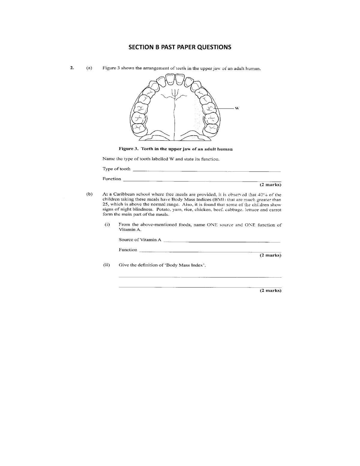 Section B Exam Questions - Principles Of Business - SECTION B PAST ...