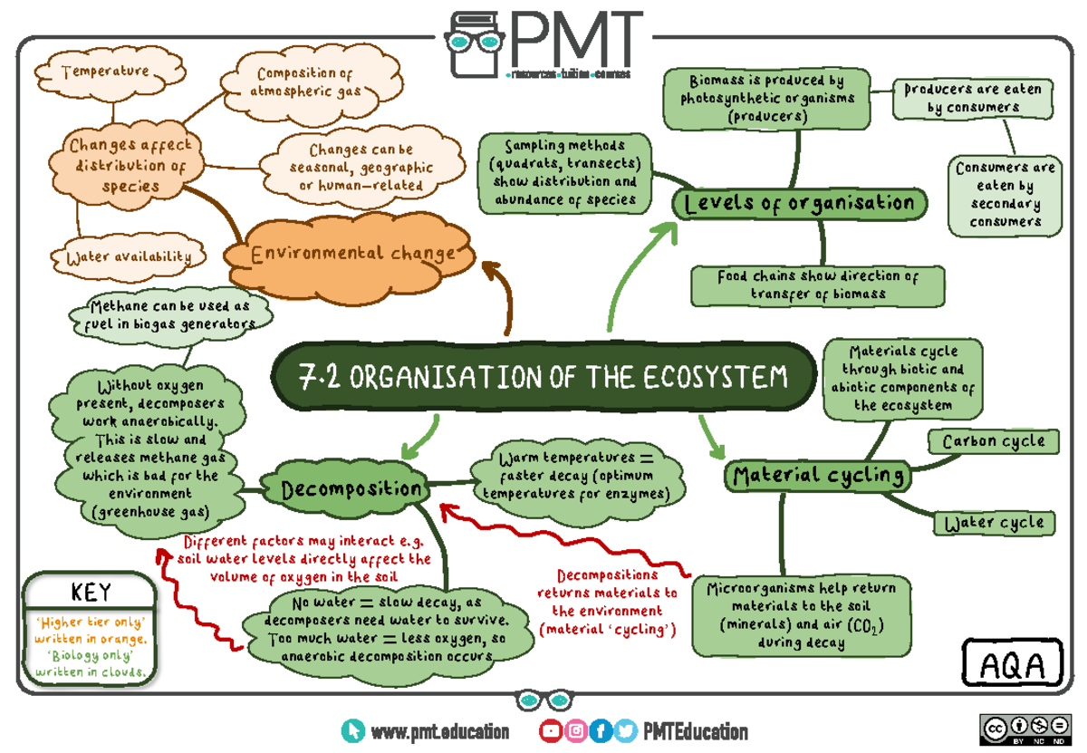 7.2 Organisation of Ecosystems - 7 ORGANISATION OF THE ECOSYSTEM Levels ...