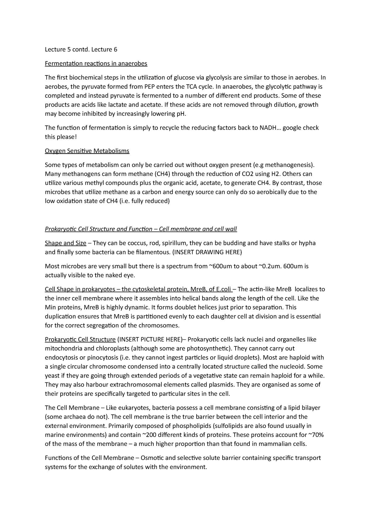 Lecture 5 contd Lecture 6 - Lecture 5 contd. Lecture 6 Fermentation ...