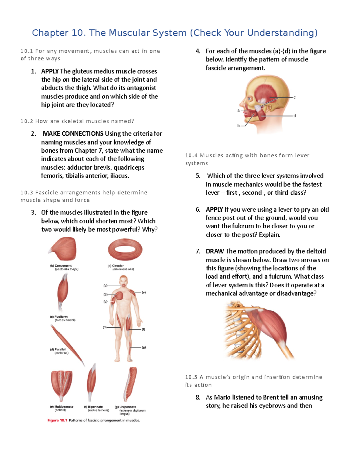 Chapter 10. (Check Your Understanding Questions) - Chapter 10. The ...