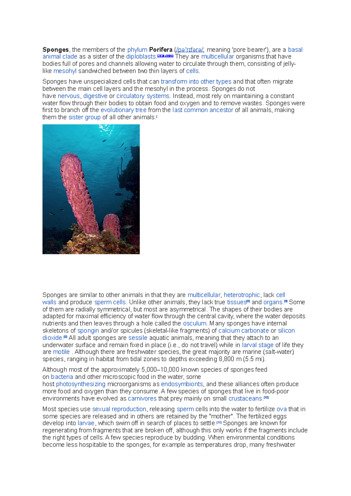 Sponges short note for Bsc Zoology students Sponges , the members of