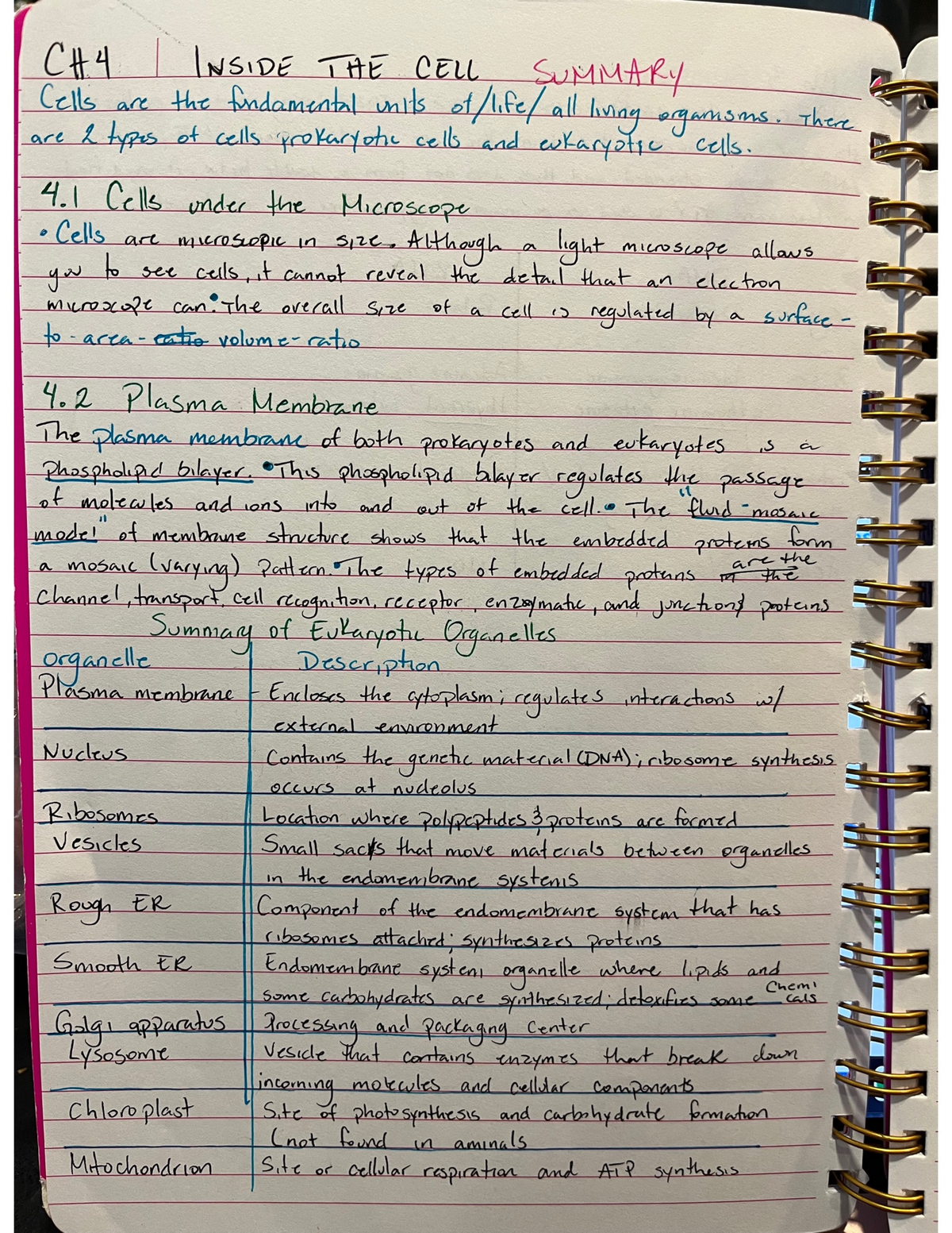 Biology ch 4 - notes - BIOLOGY 006 - Studocu