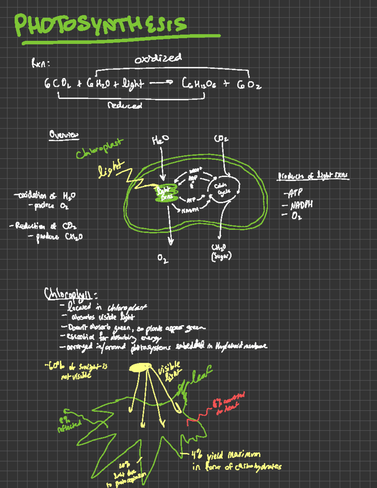 Lecture 13 - Photosynthesis - Biology 172 - U-M - Studocu
