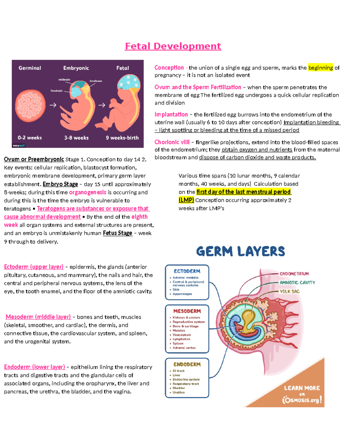 Fetal Devlopment Study Guide - Fetal Development Conception - the union ...