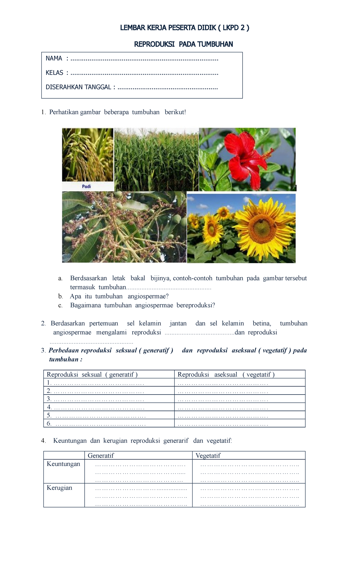 LKPD 3.2 Pertemuan Pertama - LEMBAR KERJA PESERTA DIDIK ( LKPD 2