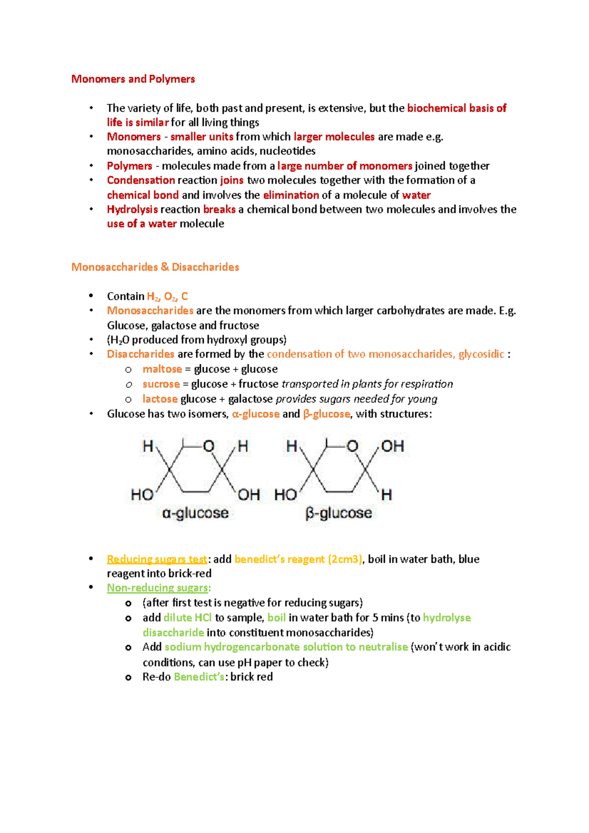Biological molecules carbohydrates, lipids, proteins, nucleic acids