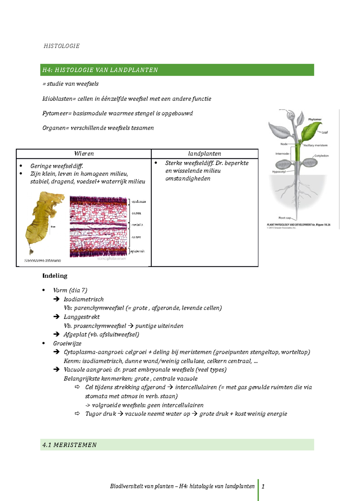 Hoofdstuk 4: Histologie - plantkunde - Biodiversiteit van planten ...