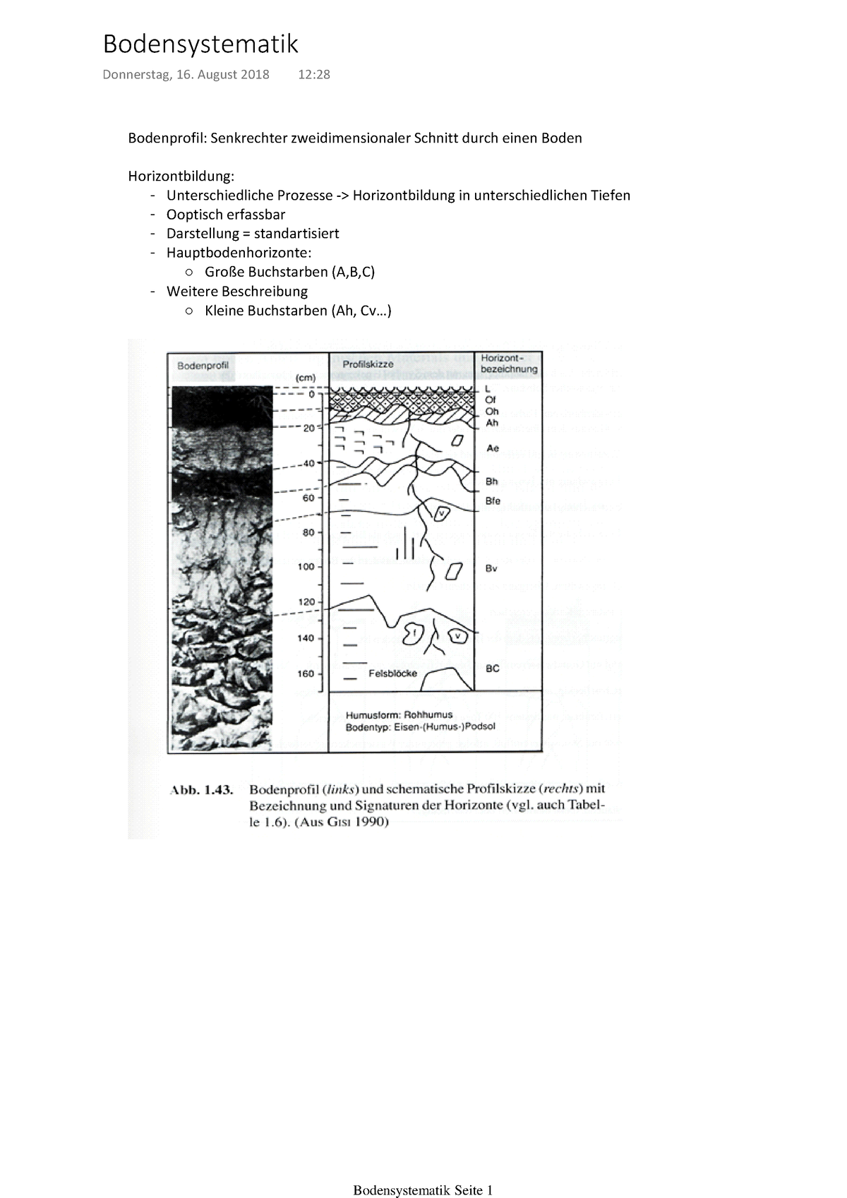 Bodensystematik - Bodenprofil: Senkrechter Zweidimensionaler Schnitt ...