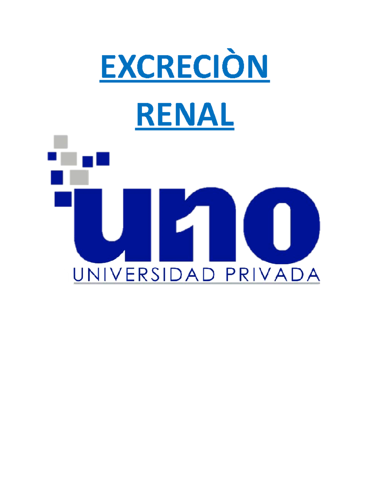 Excrecion Renal - MEDICINA - EXCRECIÒN RENAL ANATOMÍA DEL APARATO ...