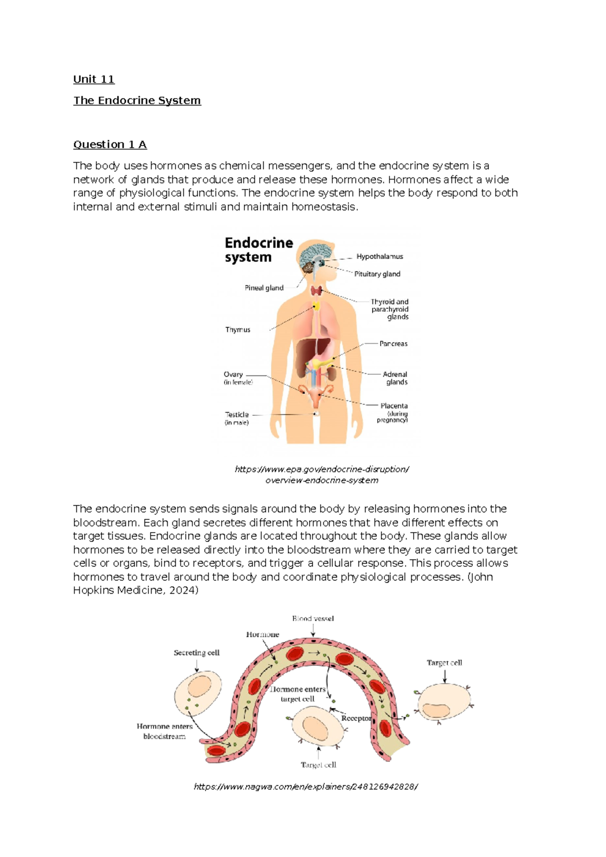 UNIT 11 final draft Resubmission - Unit 11 The Endocrine System ...