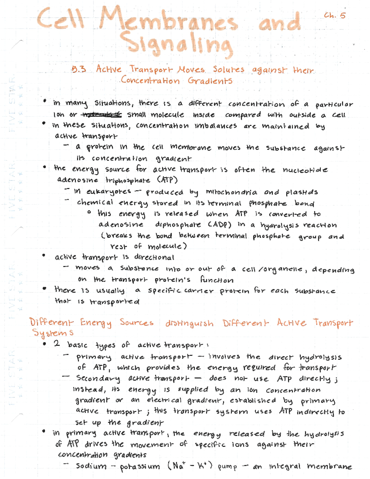 5.3 Notes - Active transport moves solutes against their concentration ...