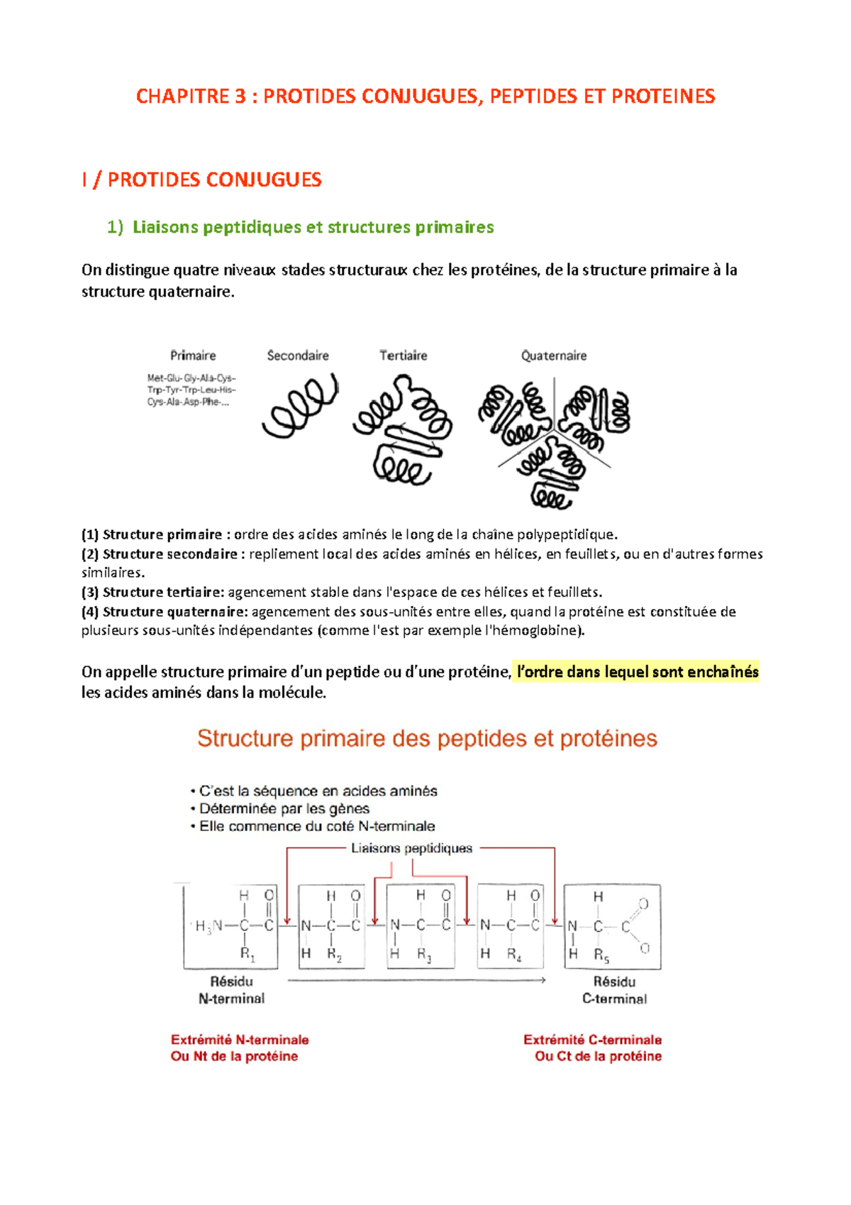 structure polypeptidique primaire