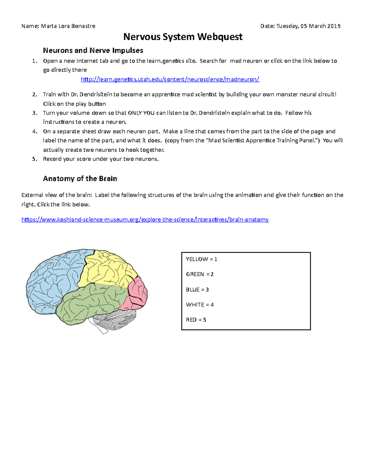 critical thinking questions about the nervous system