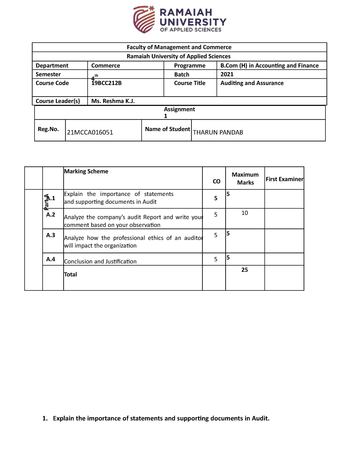 audit assignment meaning