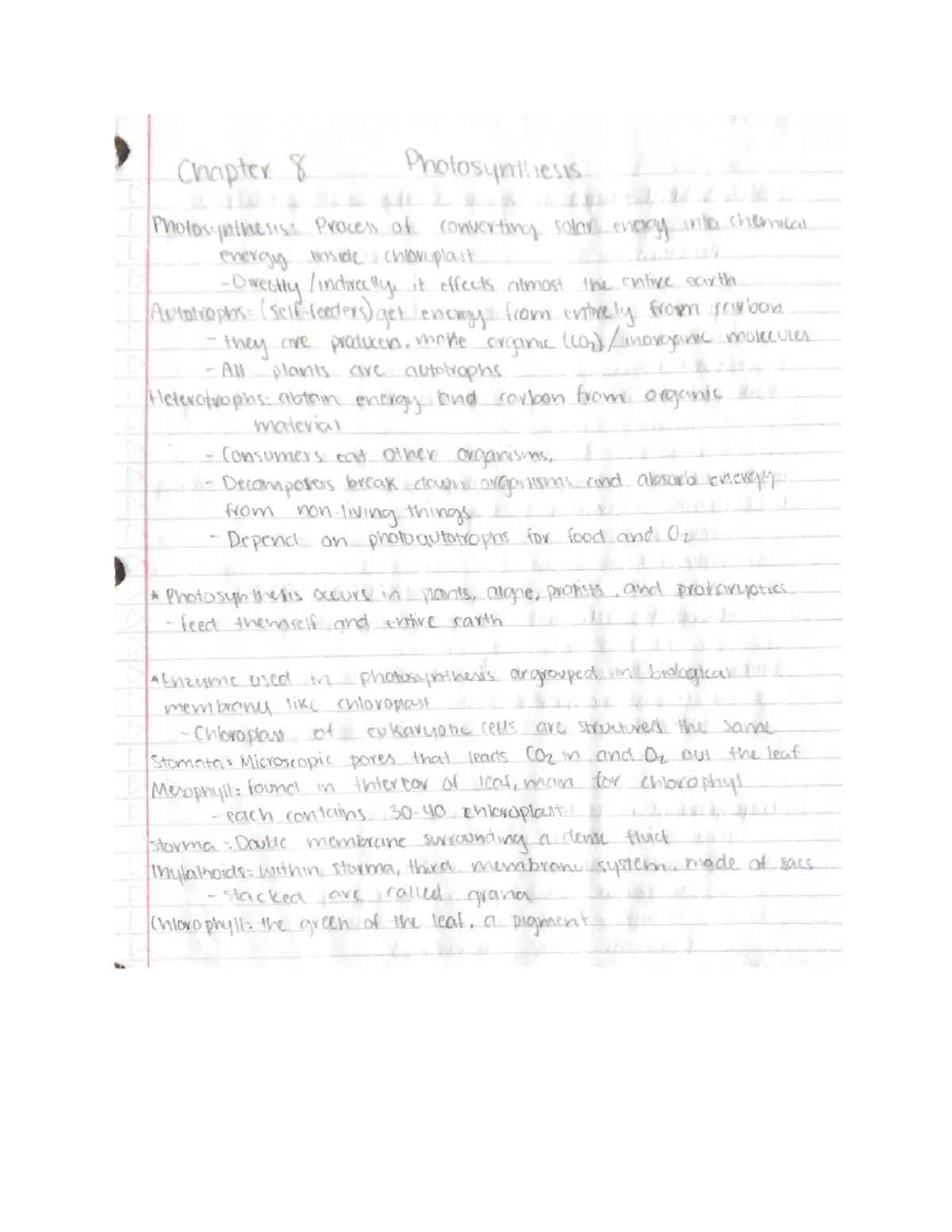 Photosynthesis Notes - Chapter 8 Photosynthesis Photosynthesis: Process ...
