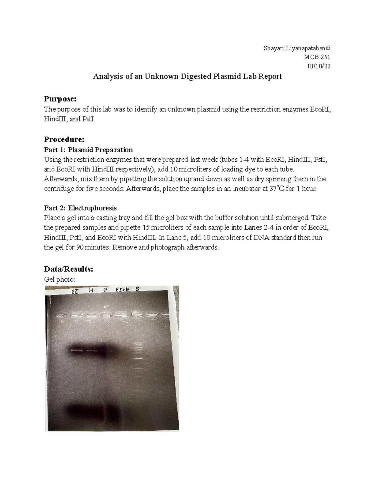 Week 6 Analysis of Unknown Digested Plasmid Lab Report - Shayari ...