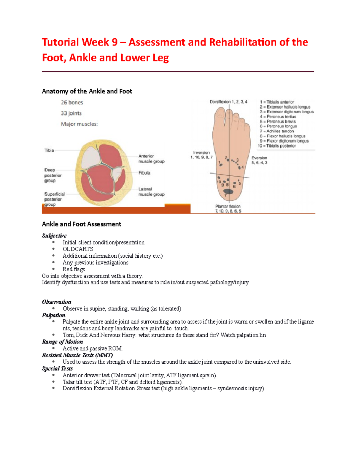 Week 9 Tutorial– Assessment and Rehabilitation of the Foot - ) Any ...