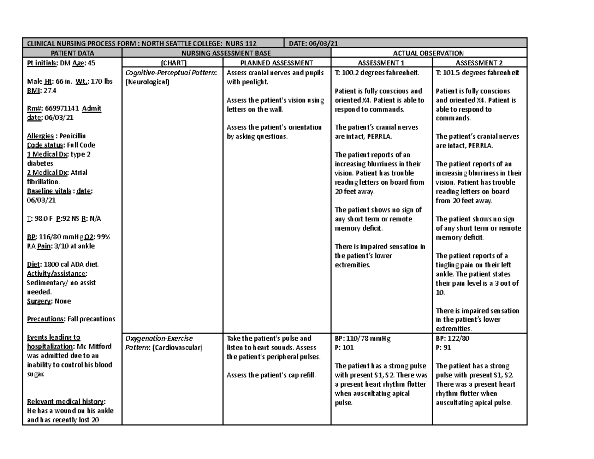 NSC Care Plan Template Gordon - CLINICAL NURSING PROCESS FORM : NORTH ...