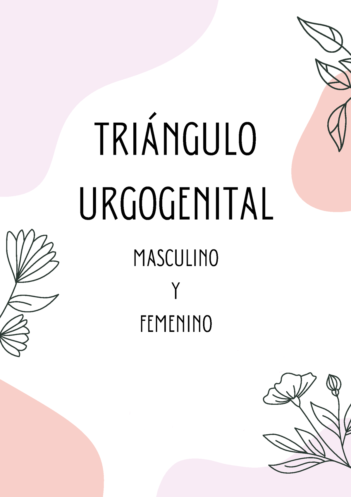 triángulo urogenital