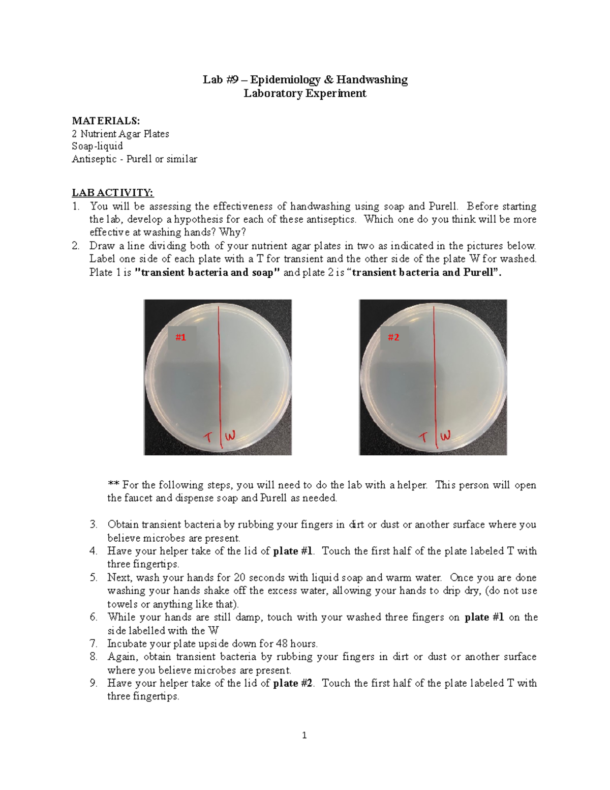 Epidemiology Handwashing Experiment Lab 9 Epidemiology
