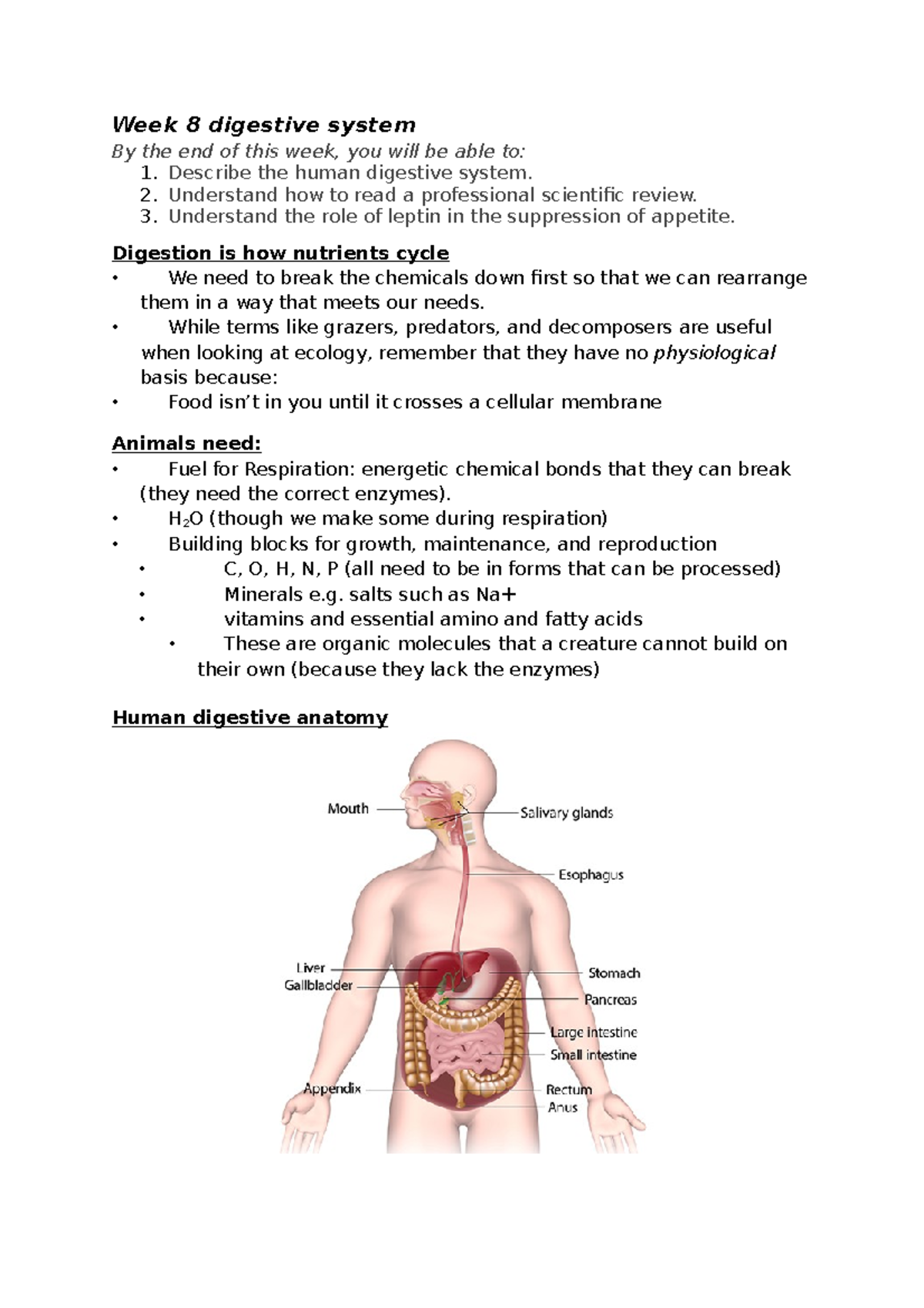 Week 8 Digestive system - Week 8 digestive system By the end of this ...