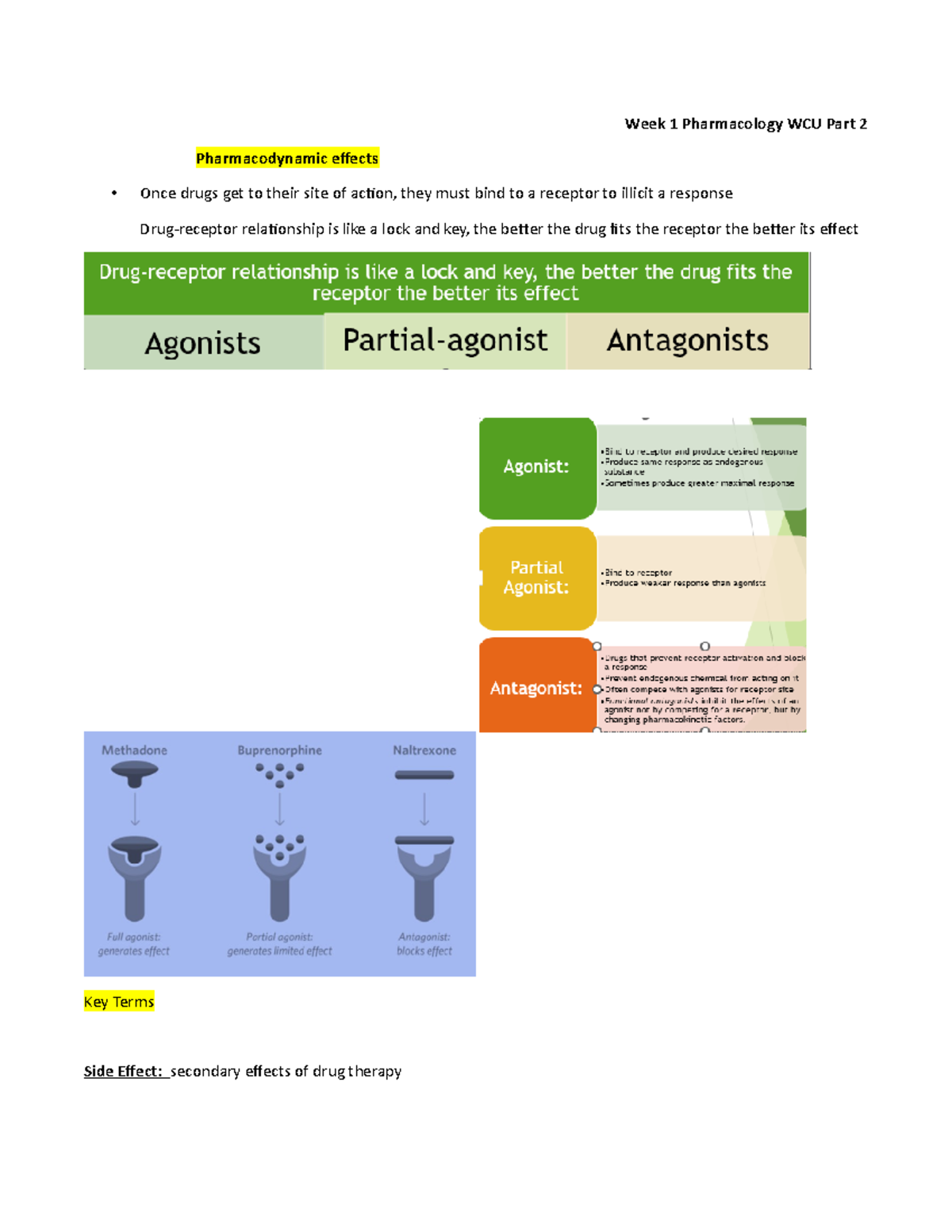 Week 1 Pharmacology WCU Part 2 - Week 1 Pharmacology WCU Part 2 ...