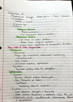 Chapter 1 Introduction To Anatomy And Physiology - Chapter 1 ...