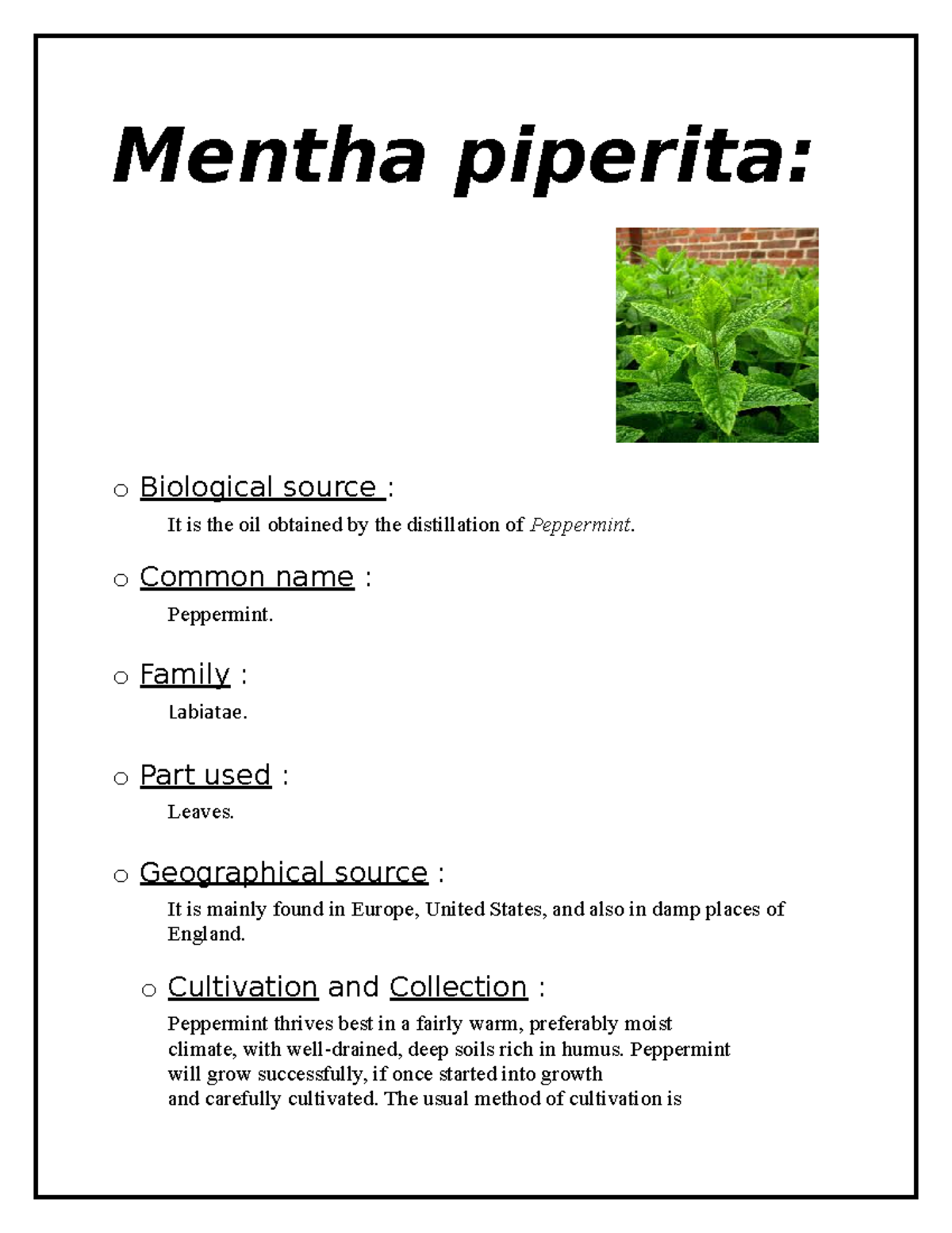 pharmacognosy-mentha-piperita-o-biological-source-it-is-the-oil