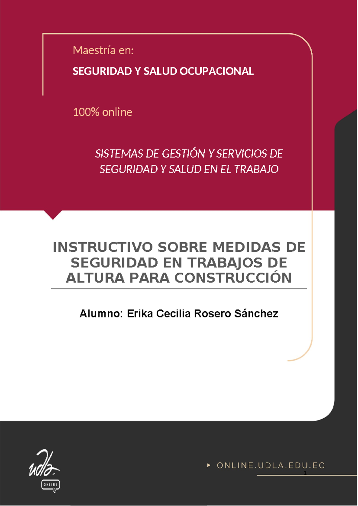 Instructivo de trabajos en altura - Maestría en: SEGURIDAD Y SALUD ...