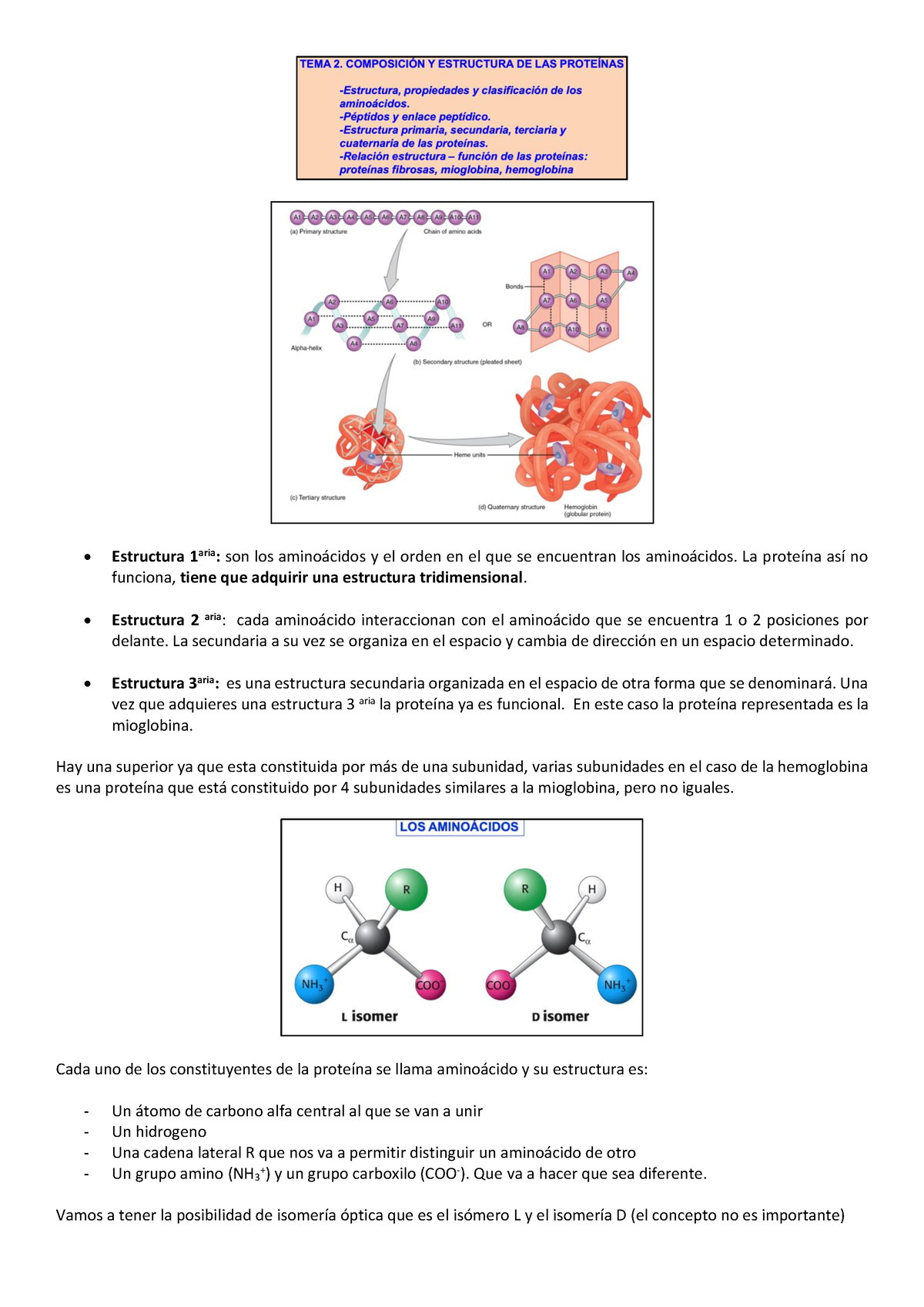 Tema 2 - Apunte - Estructura 1aria: Son Los Amino·cidos Y El Orden En ...