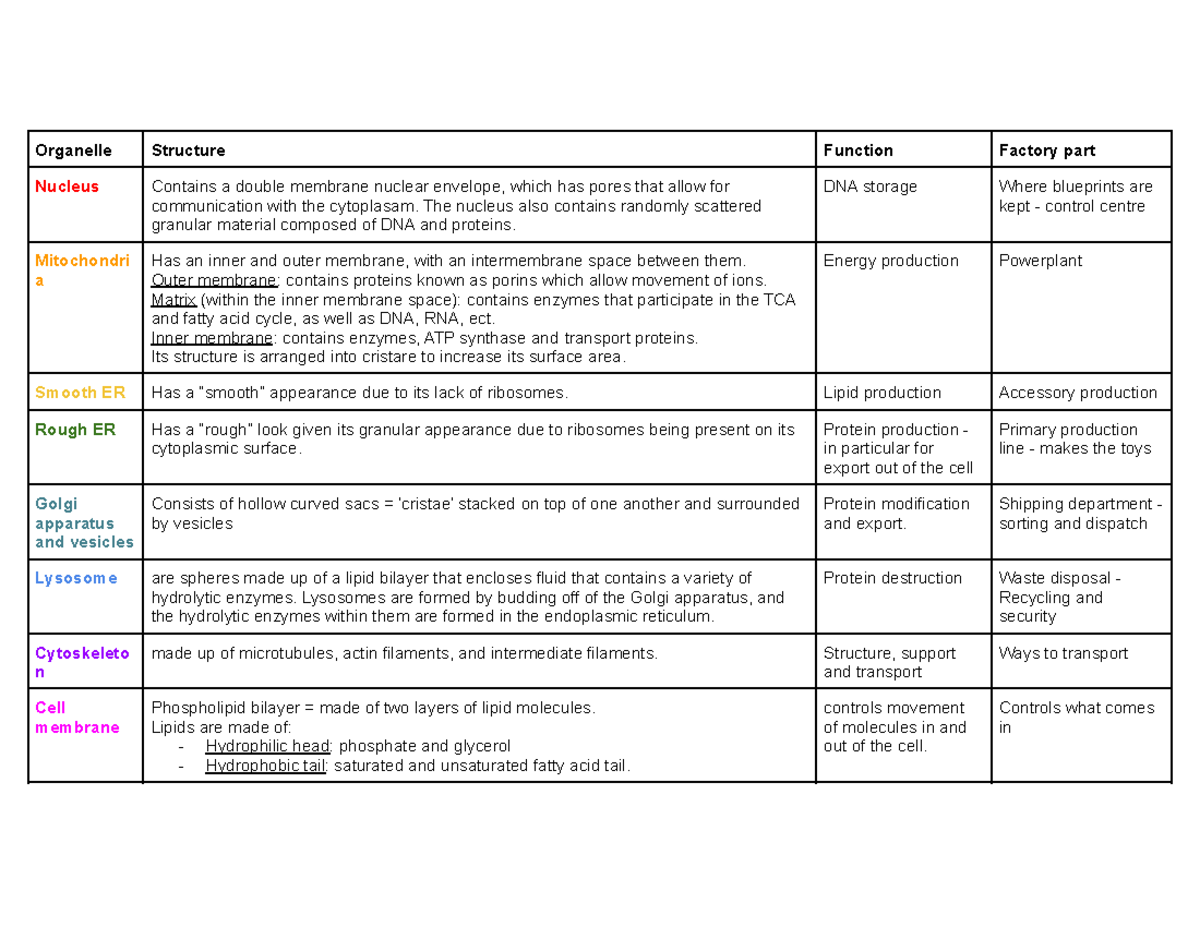 Cell structure summary - Organelle Structure Function Factory part ...