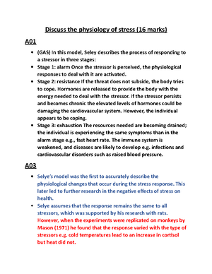 Sources of stress - workplace stress essay plan (16 marker) - Discuss ...