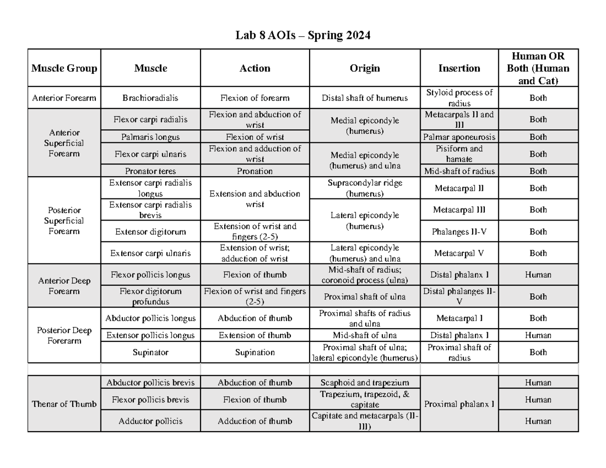 Lab 8 AOIs 1 - nnnnnnnnnnnnnn - Lab 8 AOIs – Spring 2024 Muscle Group ...