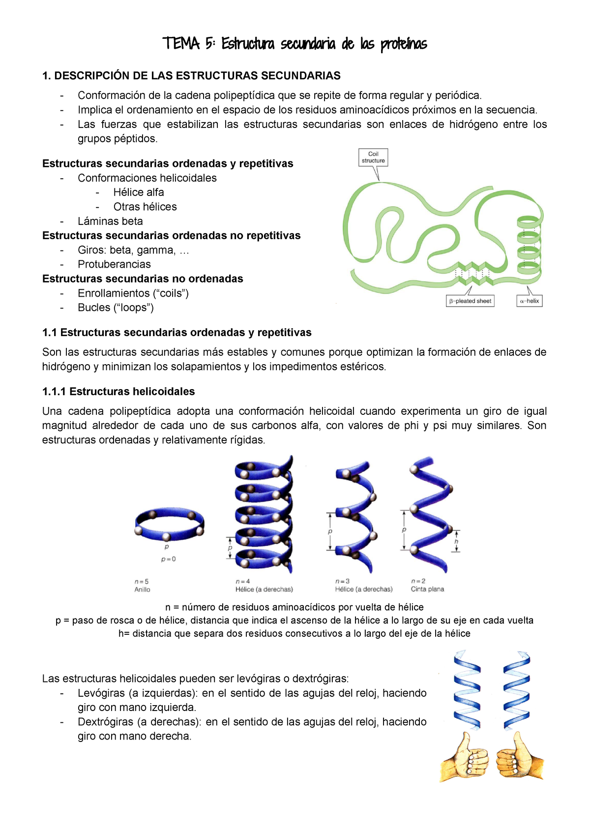 Tema 5 Estructura Secundaria De Las Proteínas Tipos De Estructuras Y Su Descripción Tema 5 6144