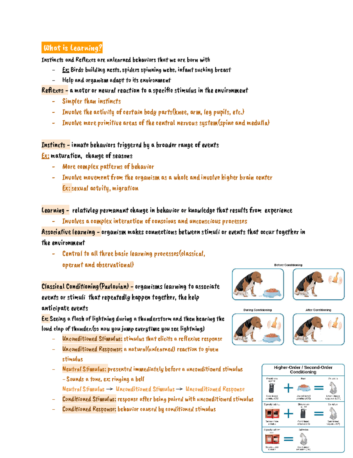 Essentials Of Psychology Notes - Chapter 6 (Learning And Conditioning ...