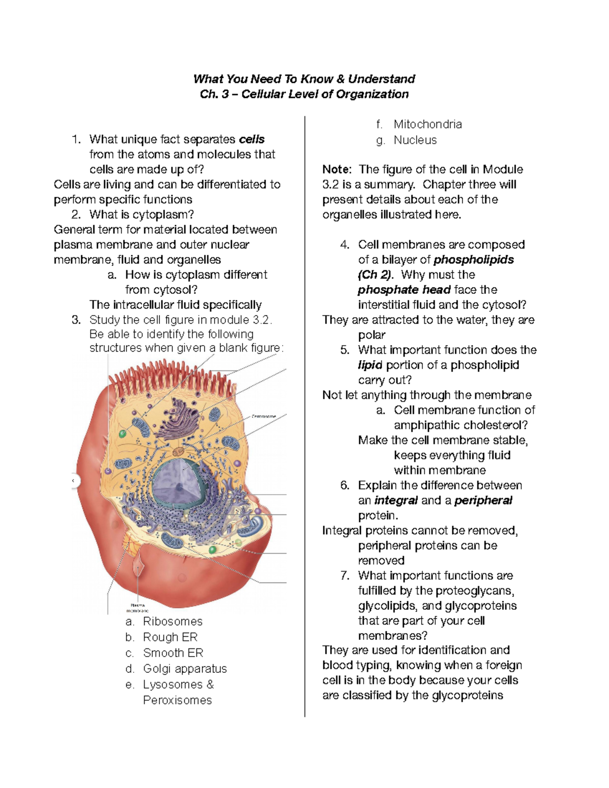 Wyntku Ch 3 - Lecture notes 3 - What You Need To Know & Understand Ch ...