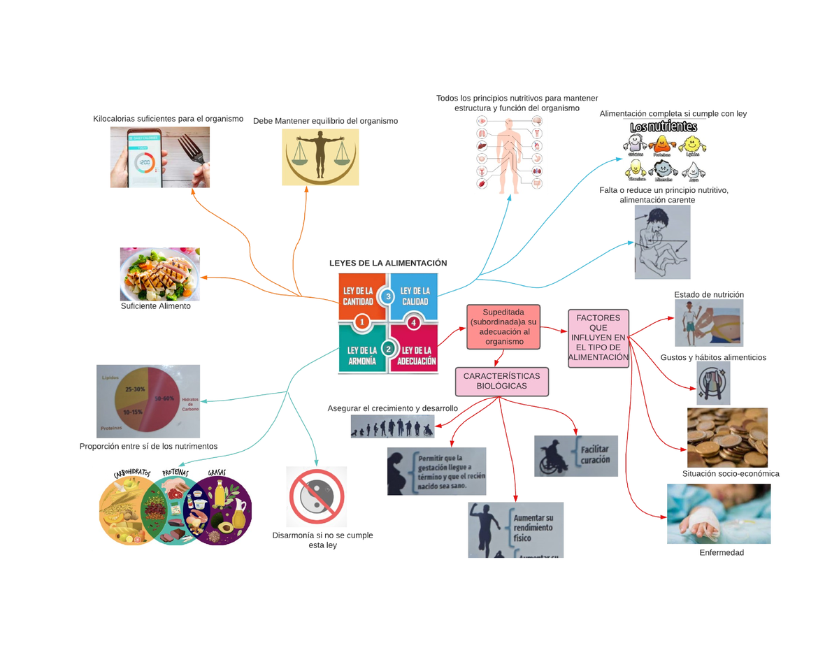 Mapa mental de las leyes de la alimentación, Nutrición I - Técnica  dietética - Studocu