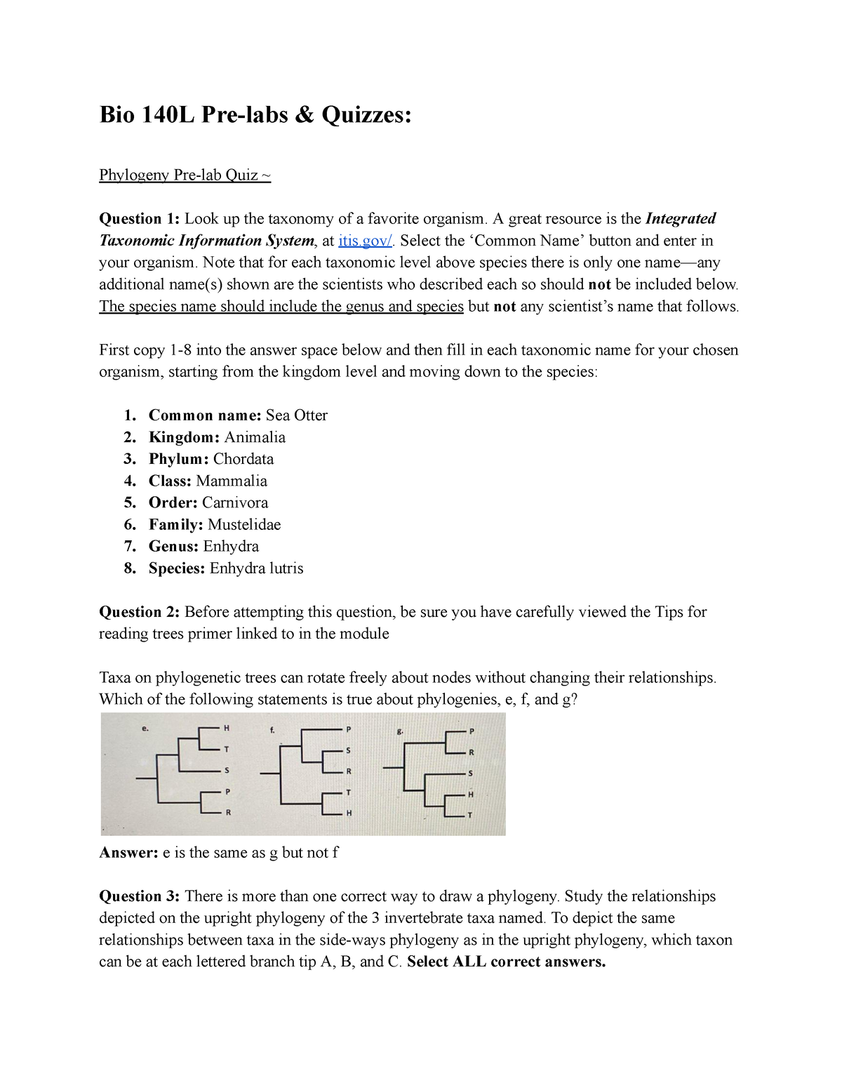 Bio 140L Pre-labs & Quizzes - Bio 140L Pre-labs & Quizzes: Phylogeny ...