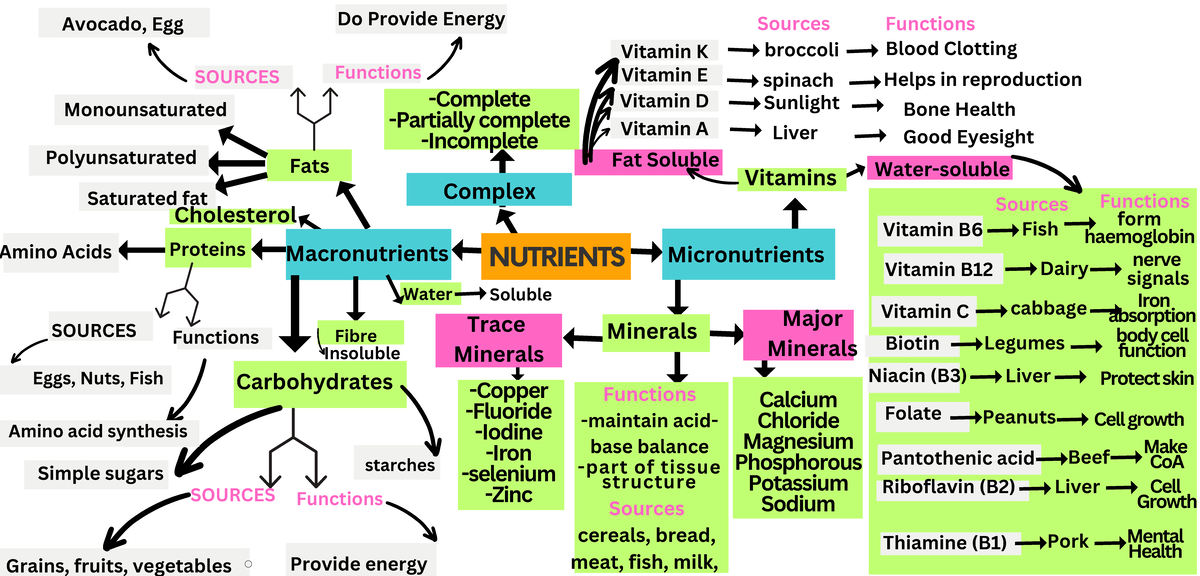 Mind Map - Mind Map - NUTRIENTS Macronutrients Proteins SOURCES Fats ...