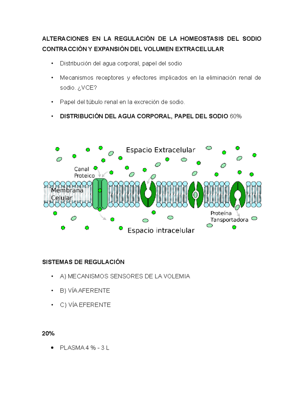 Papel de sodio hipertensión Papel de sodio hipertensión