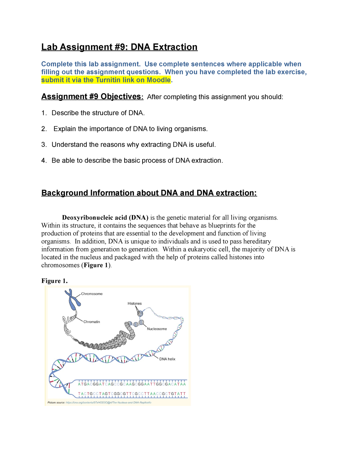 assignment 2 dna processing
