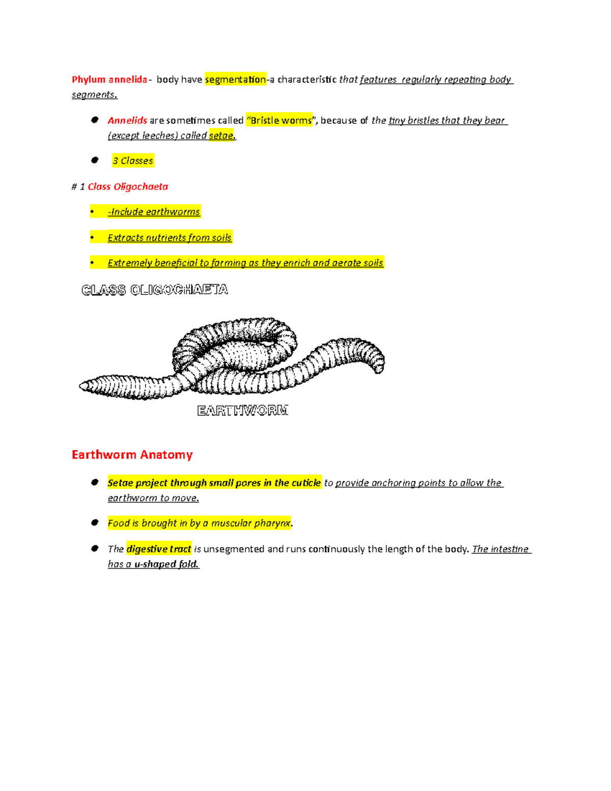 Phylum annelida and athropods reviewer - Phylum annelida- body have ...