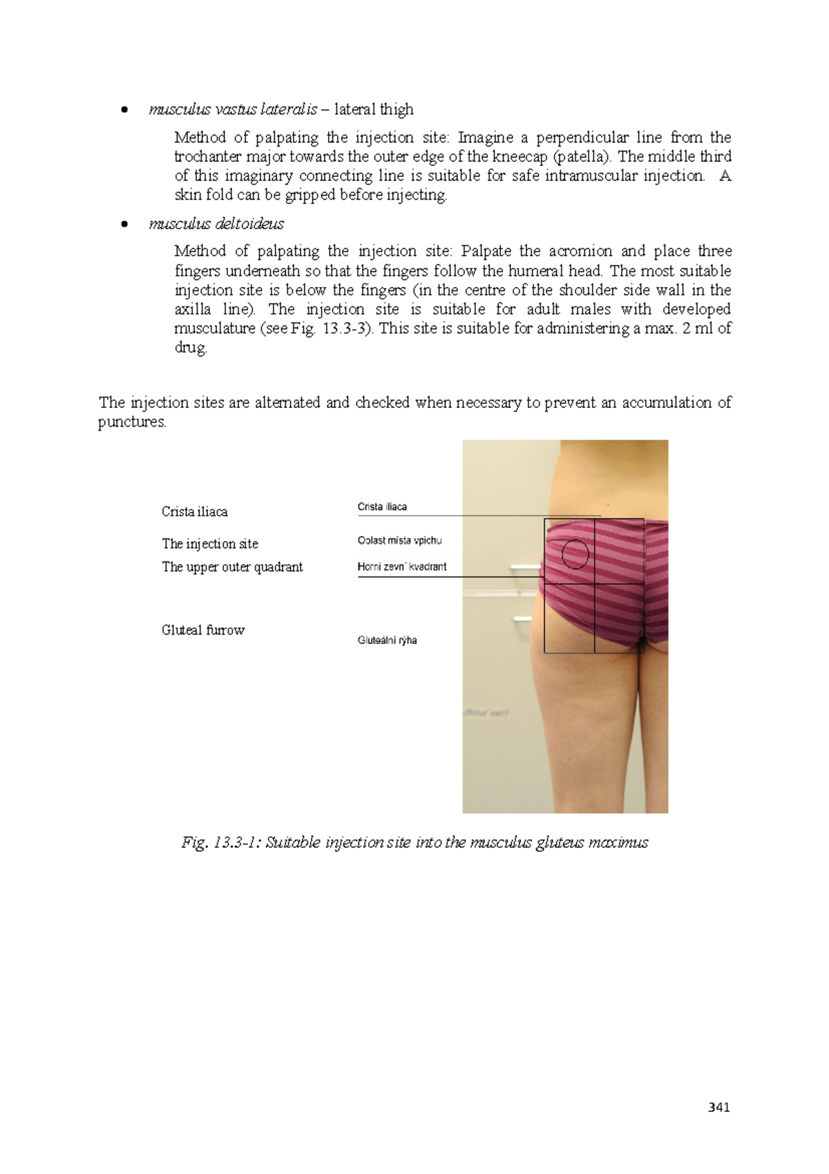 Nursing Procedures and Interventions-35 - musculus vastus lateralis ...