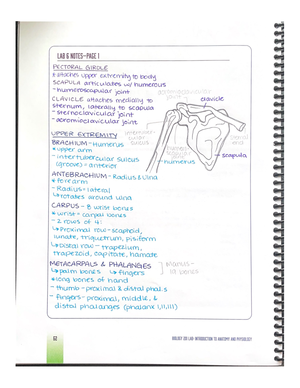 Lab 4 notes and drawings skull - BIO 201L - Studocu