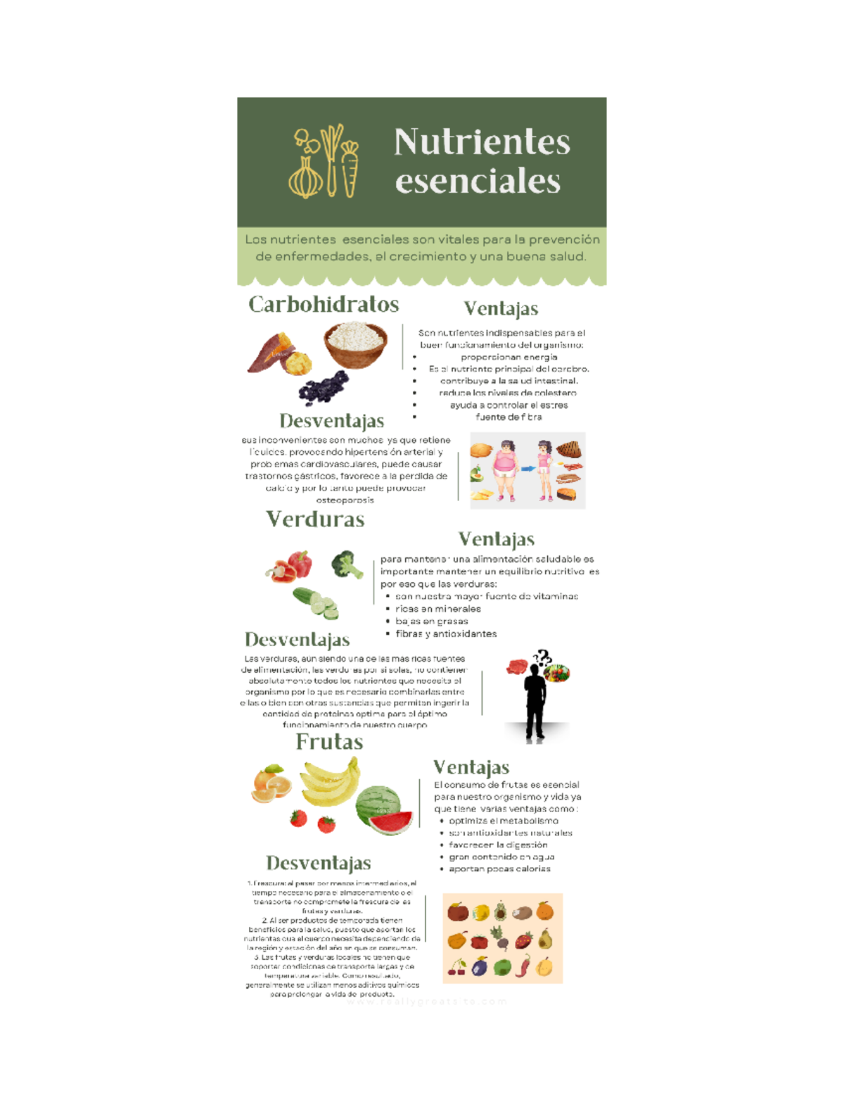 Carbohidratos, Frutas Y Verduras - TALLER DE CALORIAS: Dos listados de ...